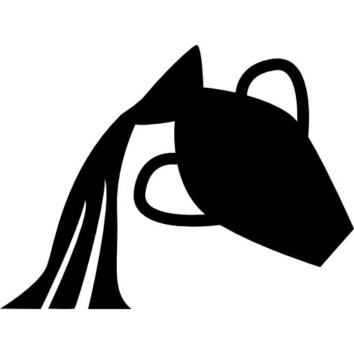 Aquarius icon